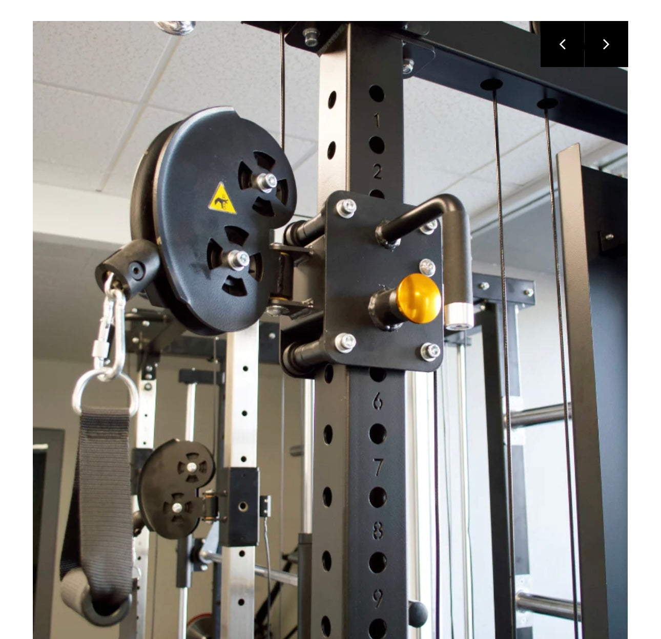 PL7320E Functional Trainer Squat Rack Front Load