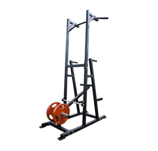 Assisted Chin Dip Plate Loaded 4-6 Weeks Lead Time Made To Order