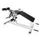 Plate Loaded Leg Extension Leg Curl 4-6 Week Lead Time