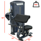 PL7924 Biceps Triceps